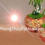 ywp1188550229